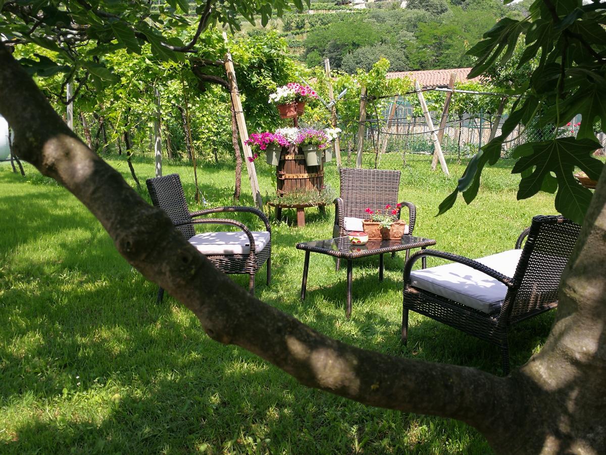 B&B Pontesello Colognola ai Colli Dış mekan fotoğraf